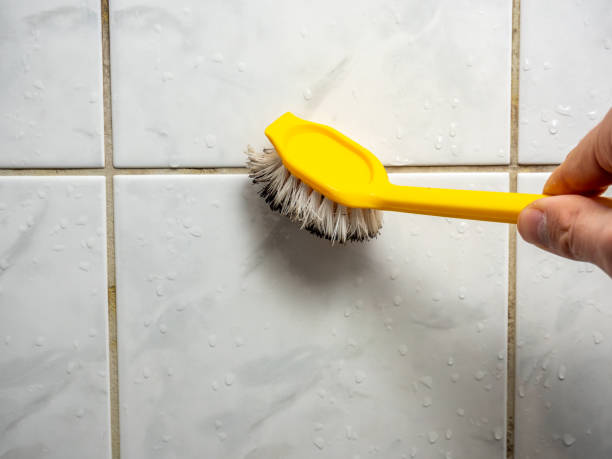 Water Damage Restoration in Ellsworth, KS