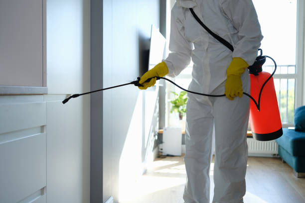 Best Mold Testing  in Ellsworth, KS