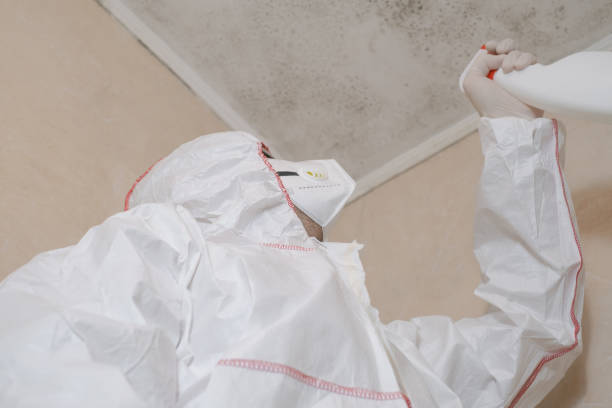 Best Residential Mold Removal  in Ellsworth, KS
